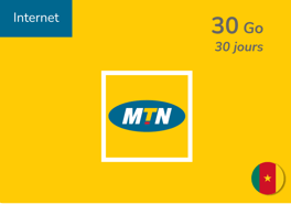 Recharge Internet MTN Cameroun 30 Go